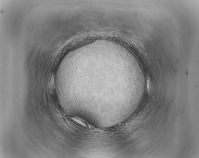 X0000088211492200706051243