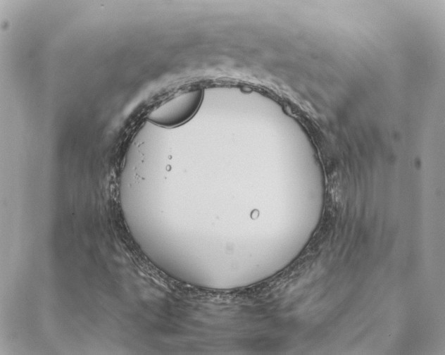 X0000088211495200706051243