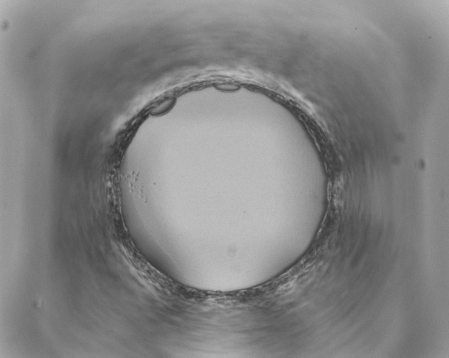 X0000088211496200706051244