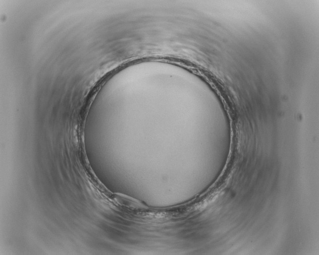 X0000088211497200706051244