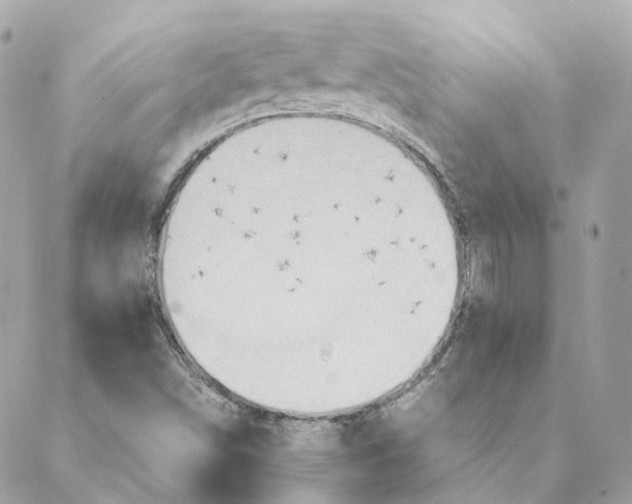 X0000088211498200706051244