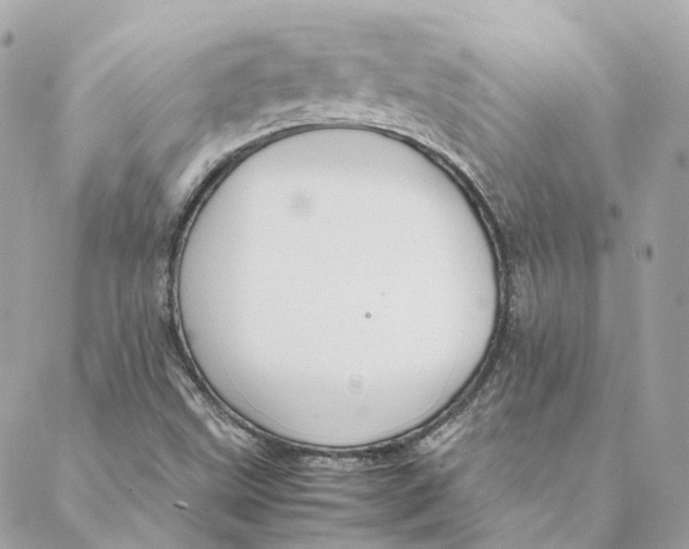 X0000088211499200706051244