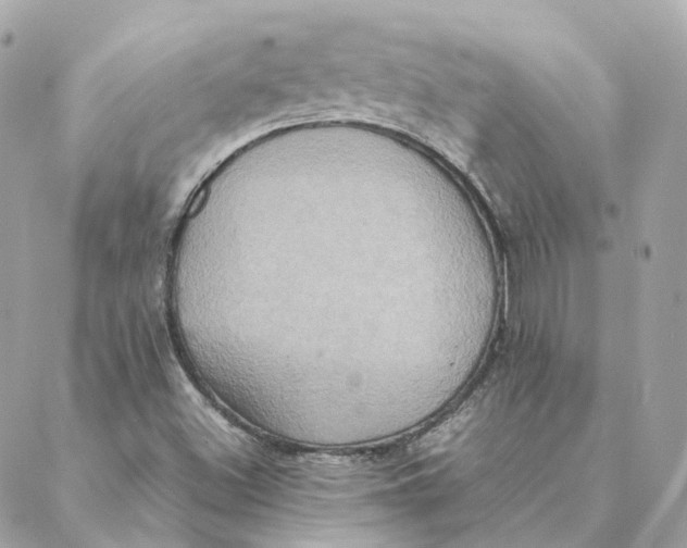 X0000088211500200706051244