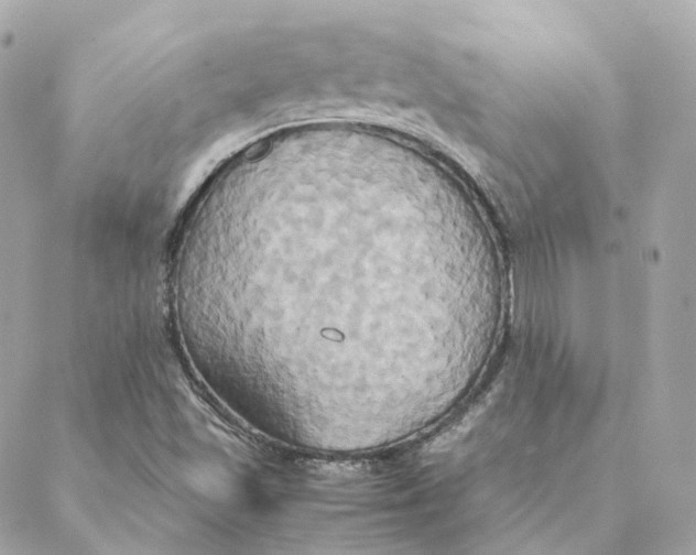 X0000088211501200706051244