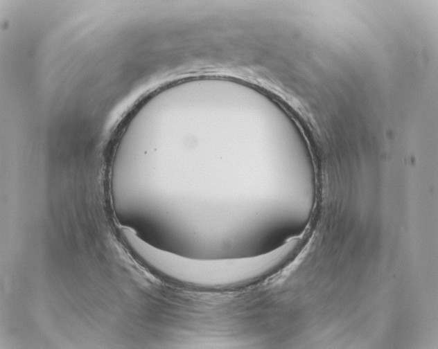 X0000088211502200706051244