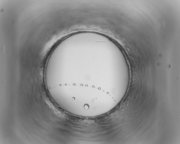 X0000088211503200706051244