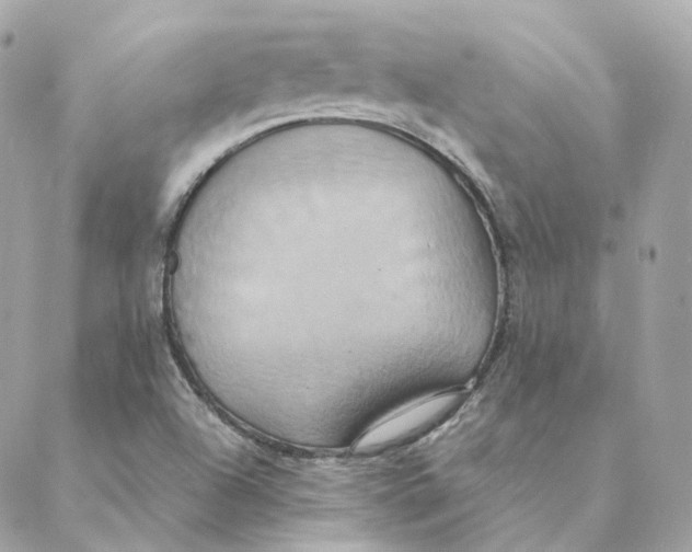 X0000088211504200706051244