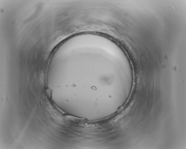 X0000088211505200706051244