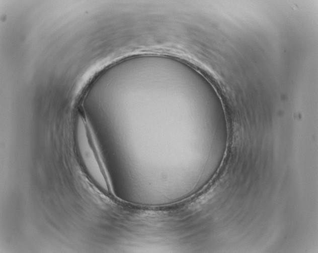 X0000088211506200706051244