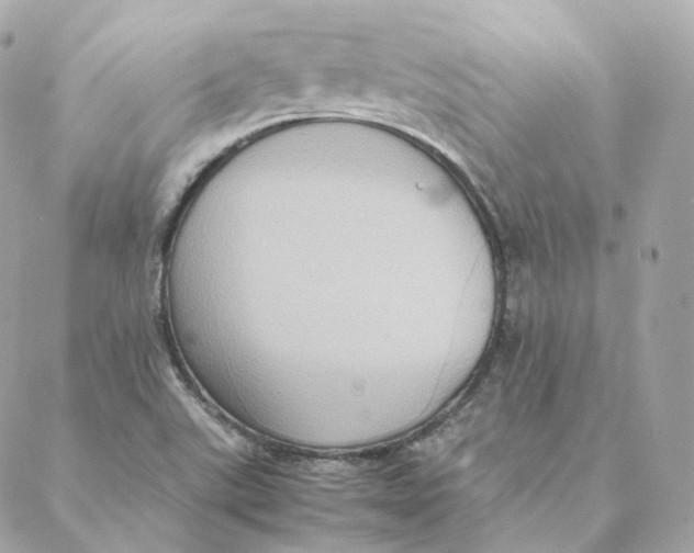 X0000088211507200706051244