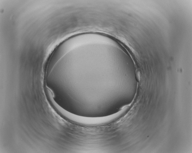 X0000088211508200706051244