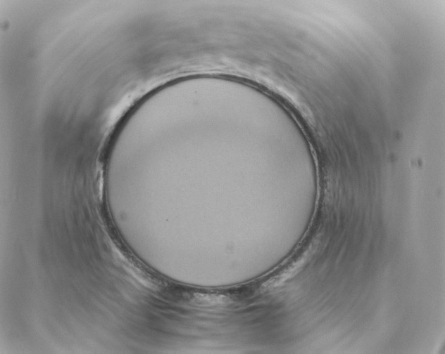 X0000088211509200706051244