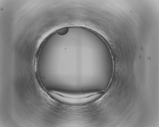 X0000088211510200706051244