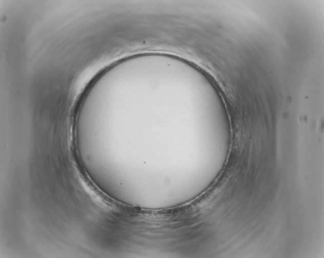 X0000088211511200706051244