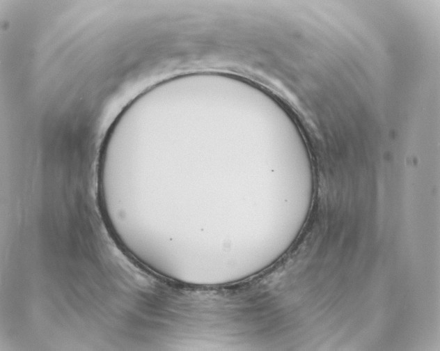 X0000088211512200706051244