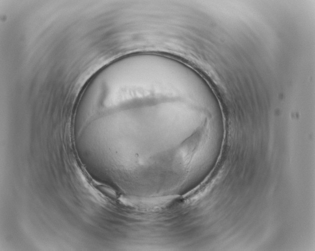 X0000088211513200706051244