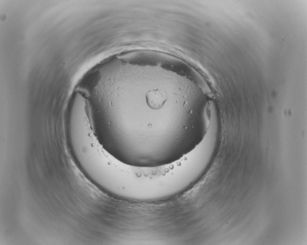 X0000088211514200706051244