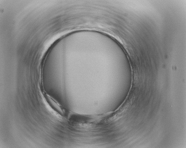 X0000088211515200706051244