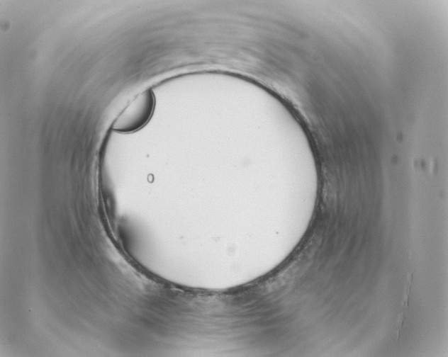 X0000088211516200706051244