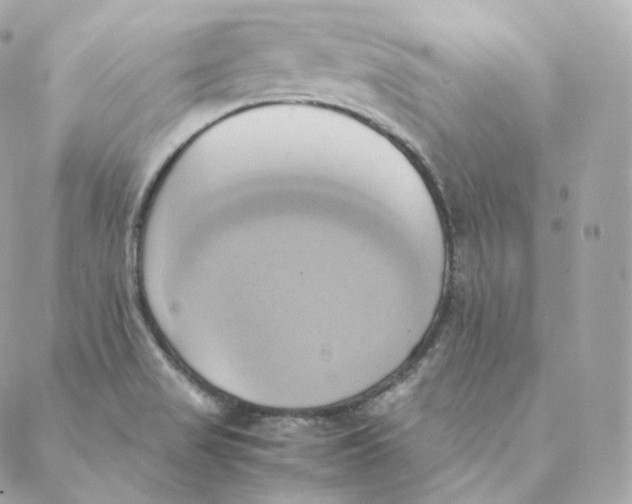 X0000088211517200706051244