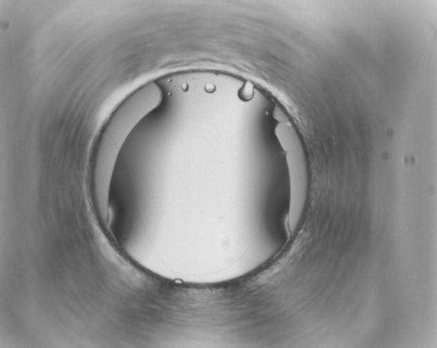 X0000088211518200706051244