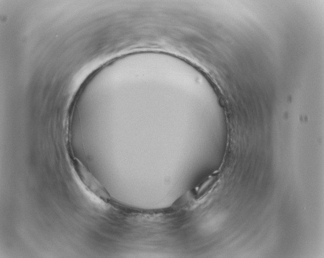 X0000088211519200706051244