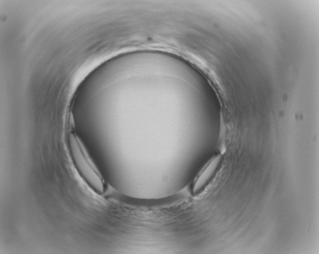 X0000088211520200706051244