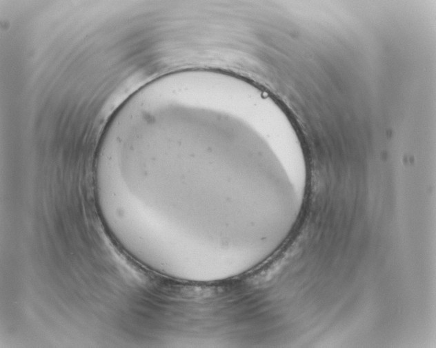 X0000088211521200706051244