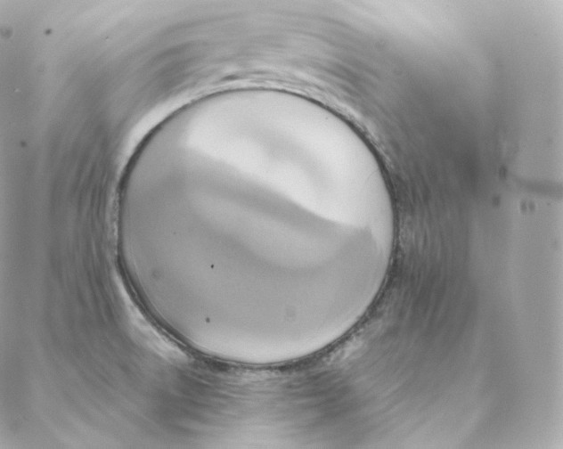 X0000088211522200706051244