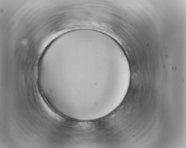 X0000088211523200706051244