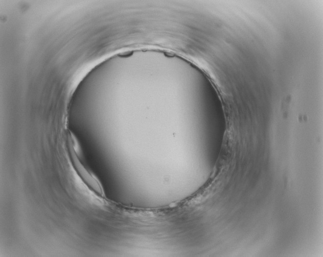 X0000088211524200706051244