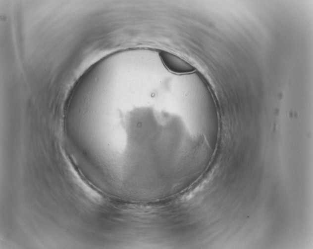 X0000088211525200706051244