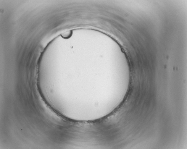 X0000088211526200706051244