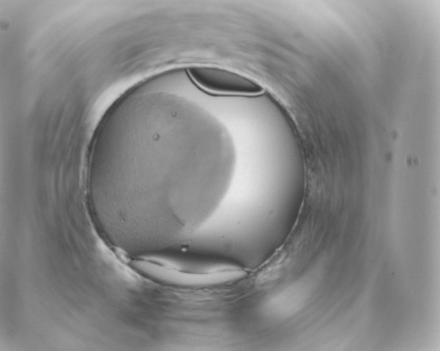 X0000088211527200706051244