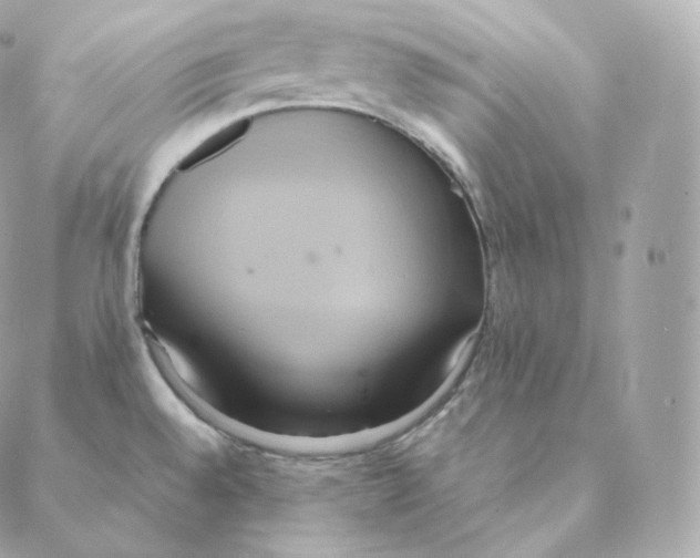 X0000088211528200706051244