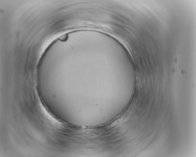 X0000088211531200706051244