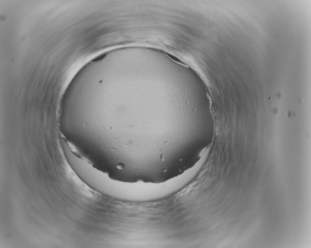 X0000088211532200706051244