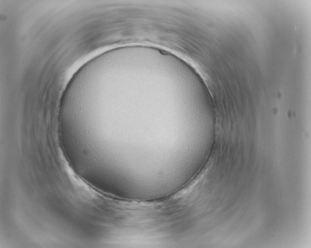 X0000088211534200706051244