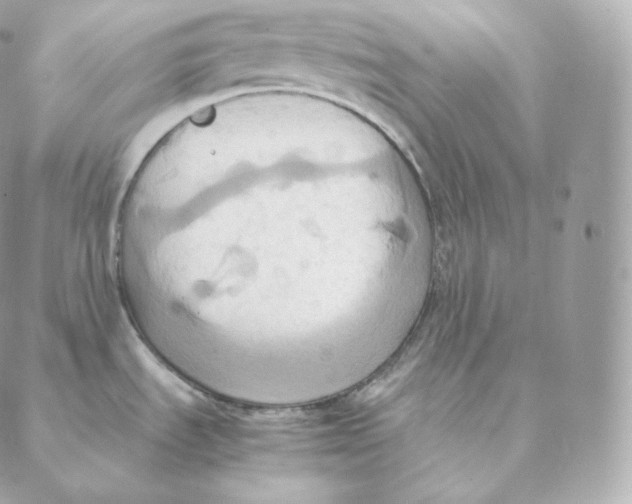 X0000088211535200706051244