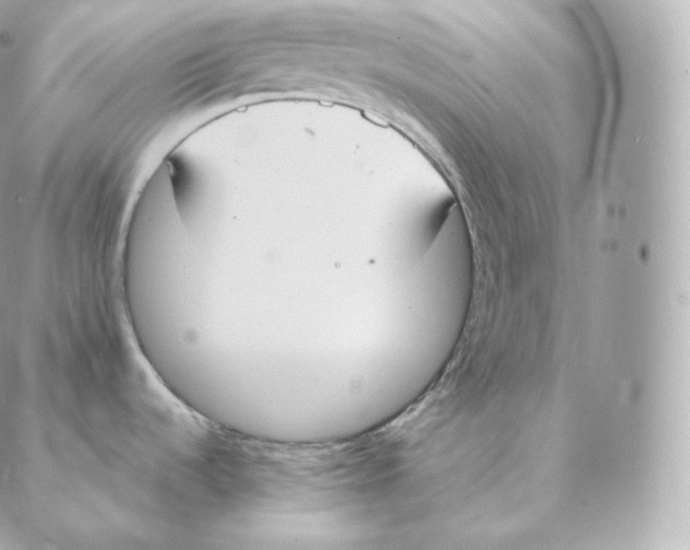 X0000088211536200706051244