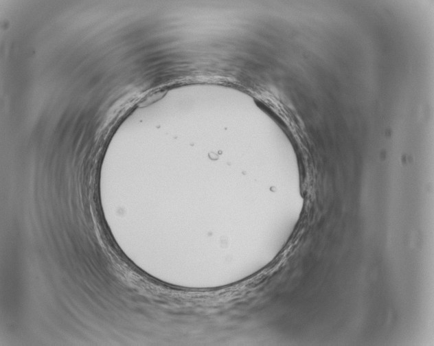 X0000088210001200706121817