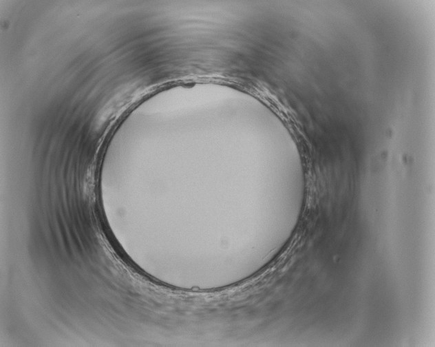 X0000088210002200706121817