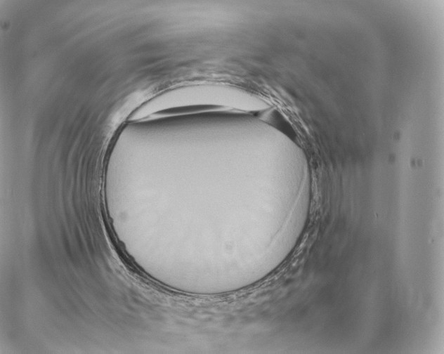 X0000088210003200706121817