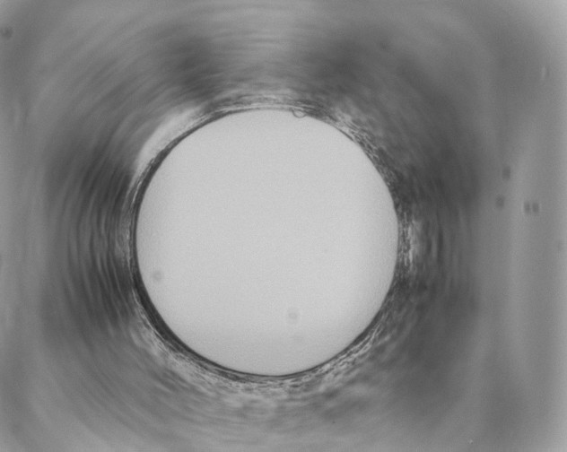 X0000088210004200706121817