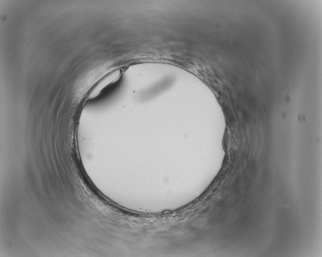 X0000088210005200706121817