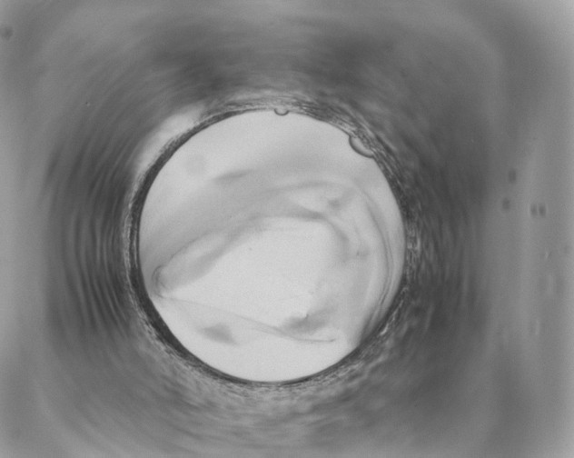 X0000088210006200706121817