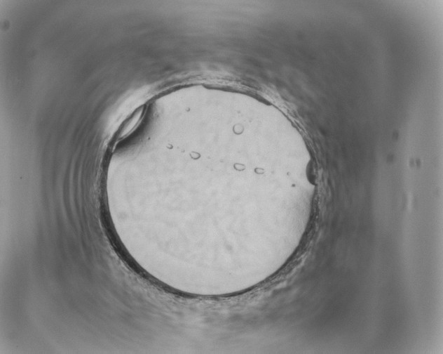 X0000088210007200706121817