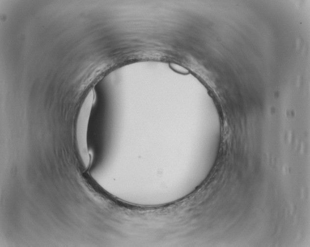 X0000088210013200706121817