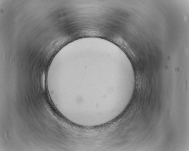 X0000088210014200706121817