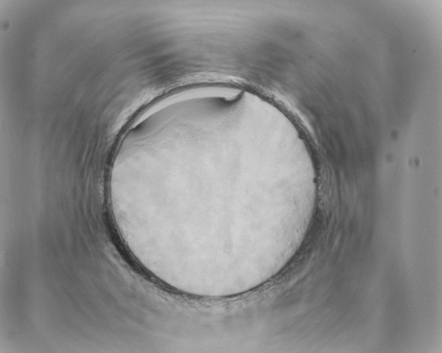 X0000088210015200706121817